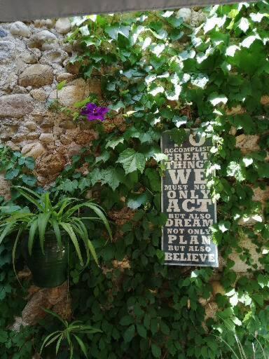 Maison D'Art' Lette Bed and Breakfast Saint-Feliu-d'Avall Buitenkant foto